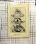Antique Old Print Souffle Glace Continentale Sorbet Citron Creme Groseilles