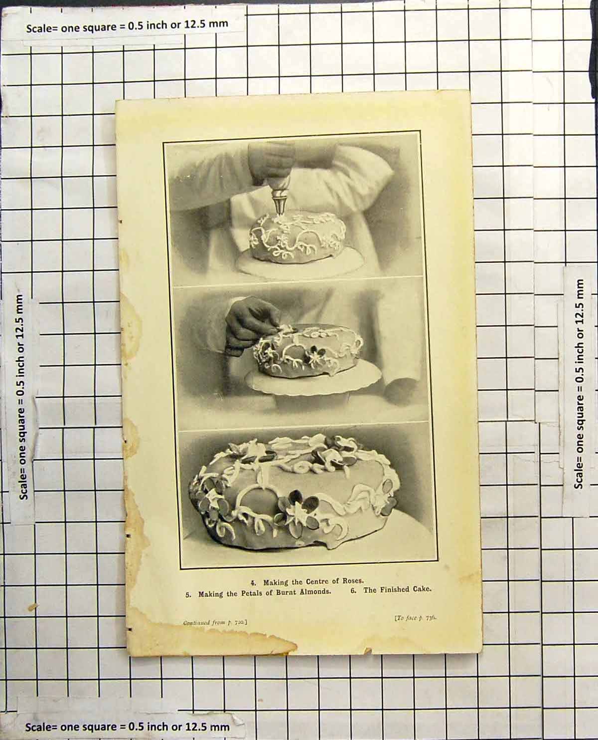 Old Antique Print Making Centre Roses Petals Burnt Almonds Finished Cake