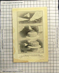 Old Print Bags And Tubes Used For Decorative Icing Commencing Decoration