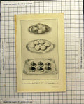 Original Old Antique Print CCheese Souffles Tomatoes Cheese Sauce Curried Eggs