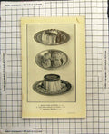 Antique Old Print Border Rice Plums Peach Darioles Reine Gooseberry Charlotte