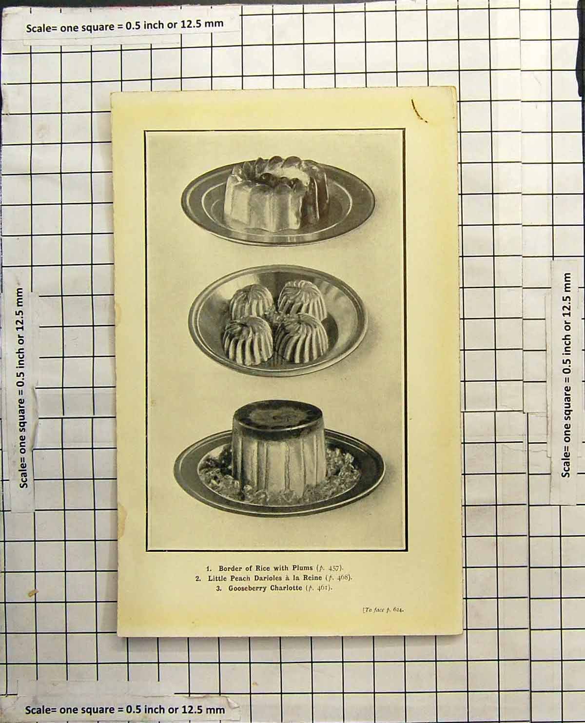 Antique Old Print Border Rice Plums Peach Darioles Reine Gooseberry Charlotte