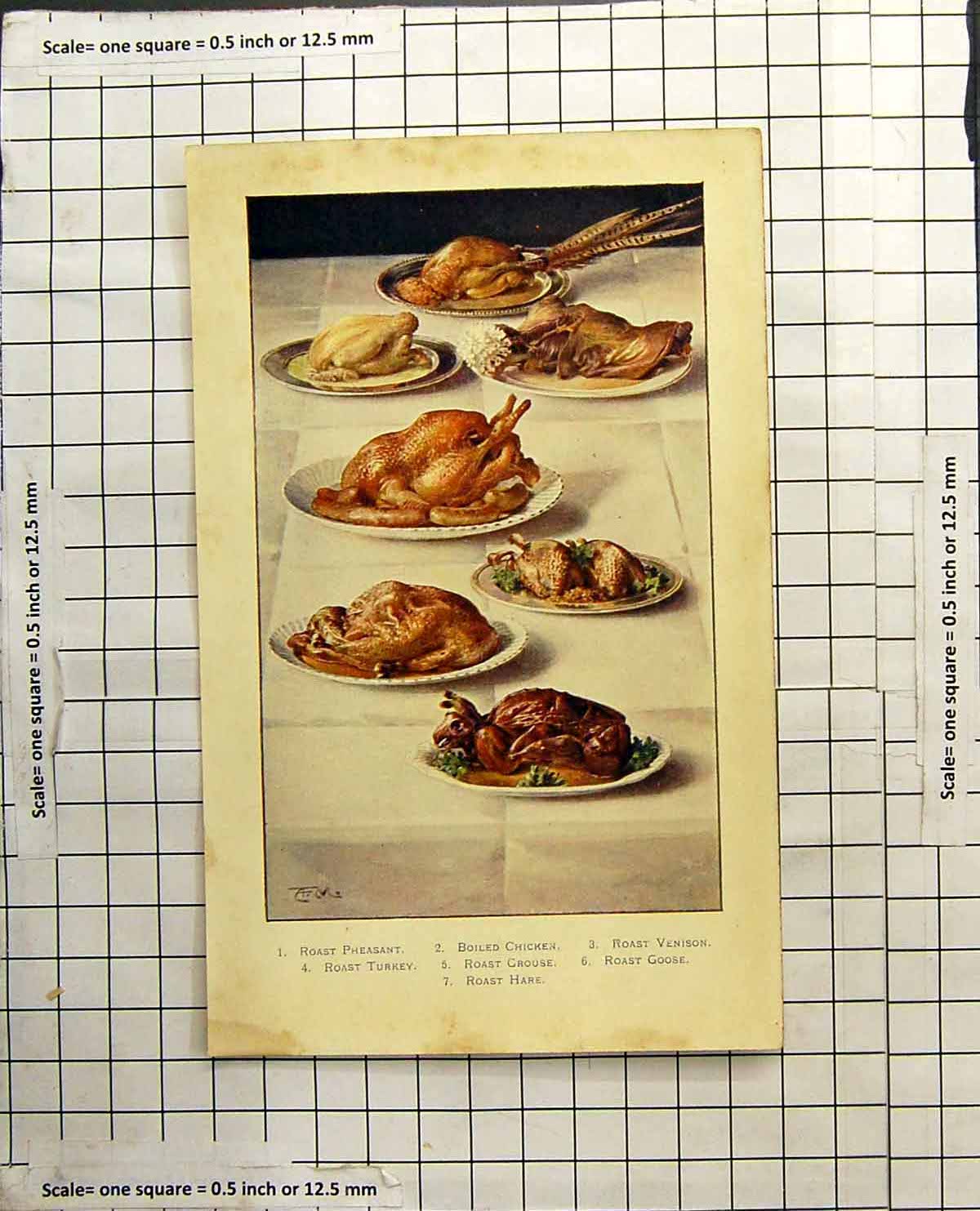 Old Print Roast Pheasant Boiled Chicken Venison Turkey Grouse Goose Hare
