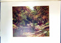 Original Old Antique Print View Tavy Tavistock Devon England Landscape Colour