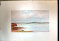 Original Old Antique Print View Torquay Paignton England Landscape Colour