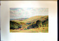 Original Old Antique Print View Downs England Hills Cows Landscape Colour