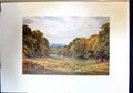 Antique Print View Windsor Castle Park Deer London England Landscape Colour