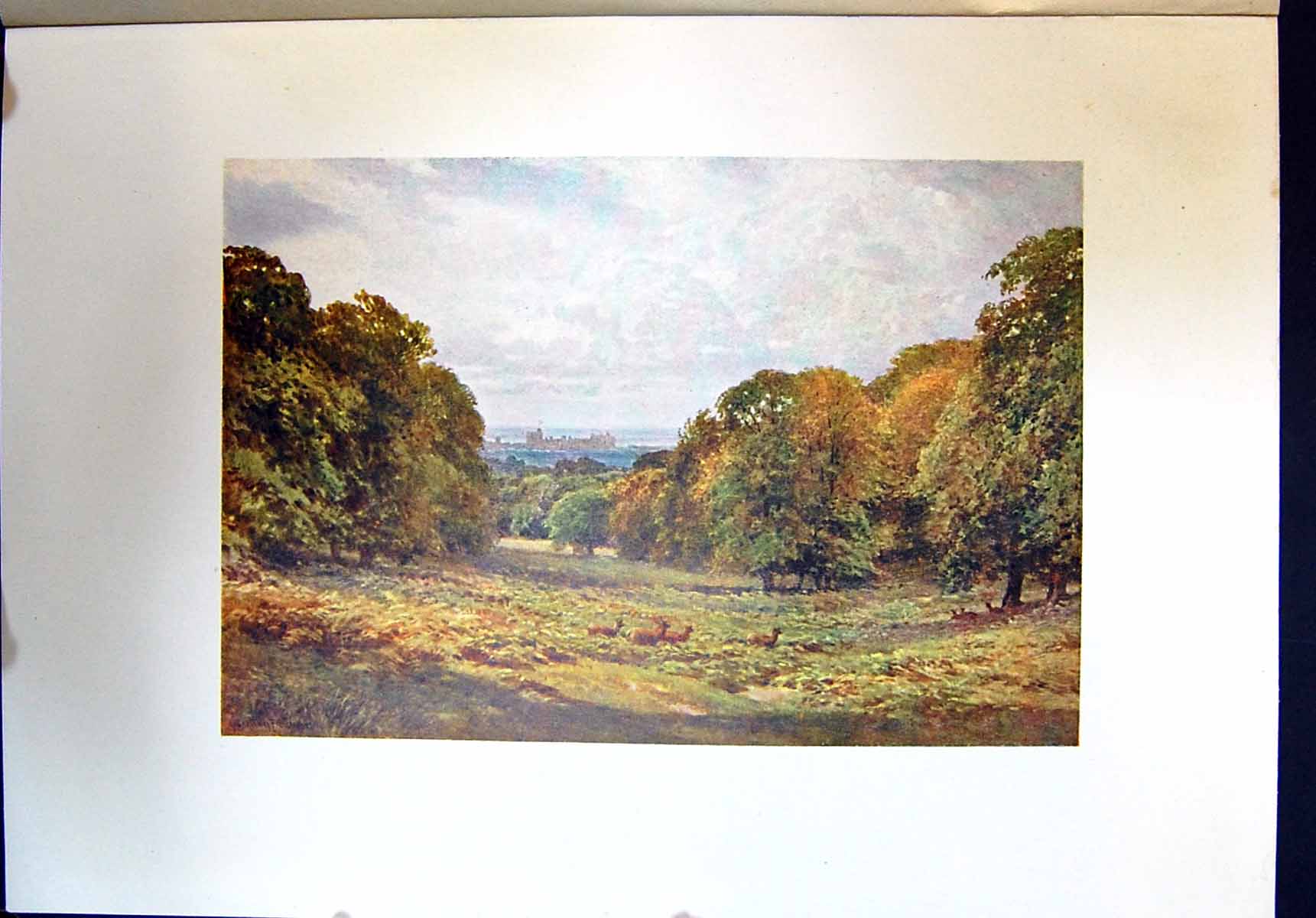 Antique Print View Windsor Castle Park Deer London England Landscape Colour