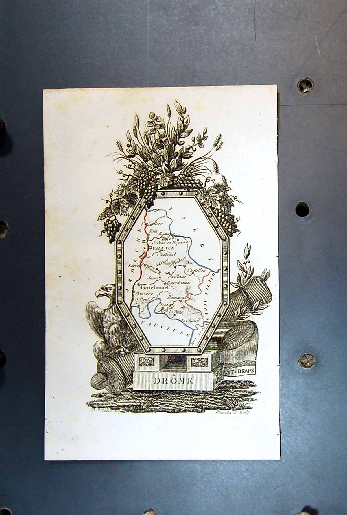 Original Old Antique Print Map Drome Flowers Plants