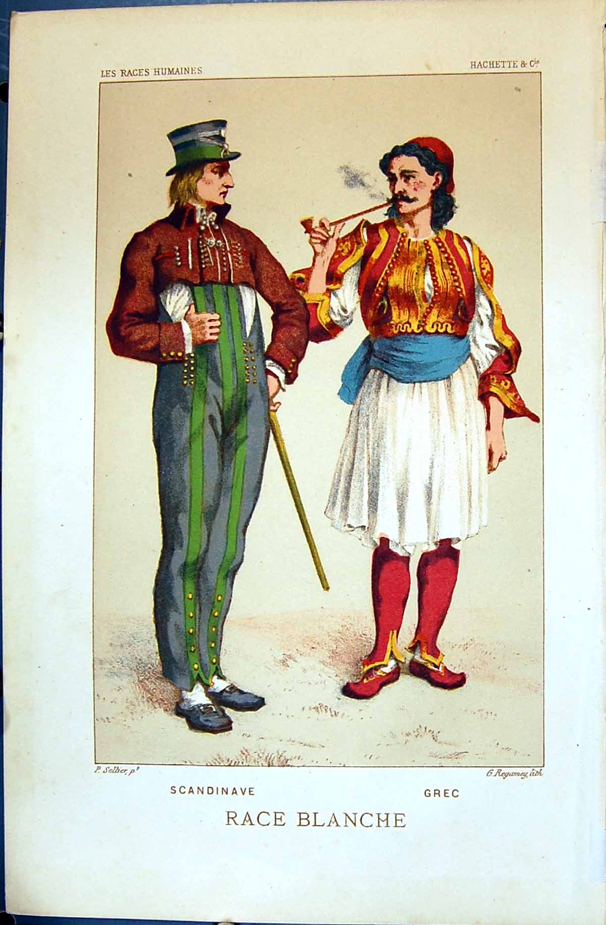 Antique Old Print Scandinave Grec Blanche 1880 Races Humaines Figuier Colour