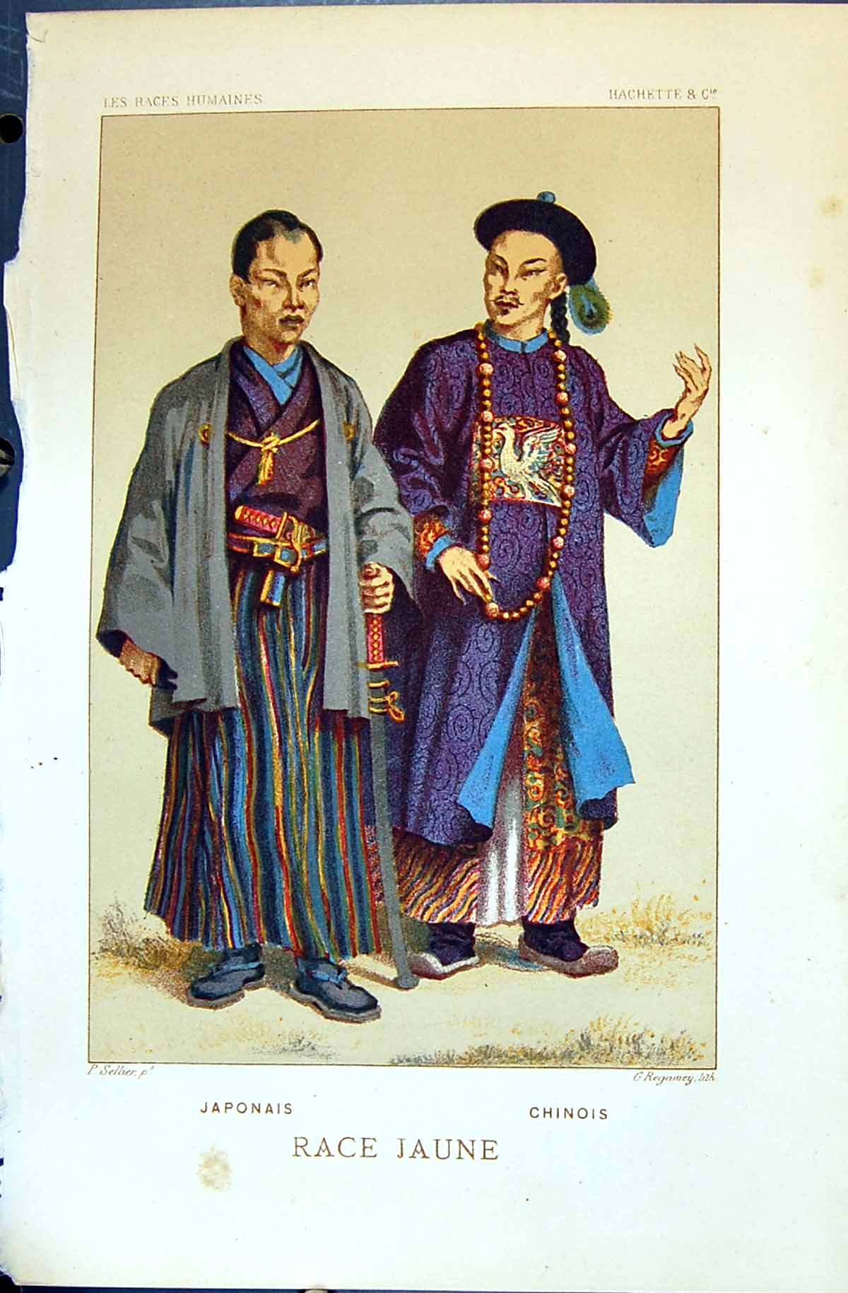 Old Print Japonais Chinois Japan China Jaune 1880 Races Humaines Figuier 19th