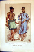 Antique Old Print Polynesien Malais Brune 1880 Races Humaines Figuier Colour