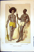 Antique Old Print Papou Negre Guinee Noire 1880 Races Humaines Figuier Colour