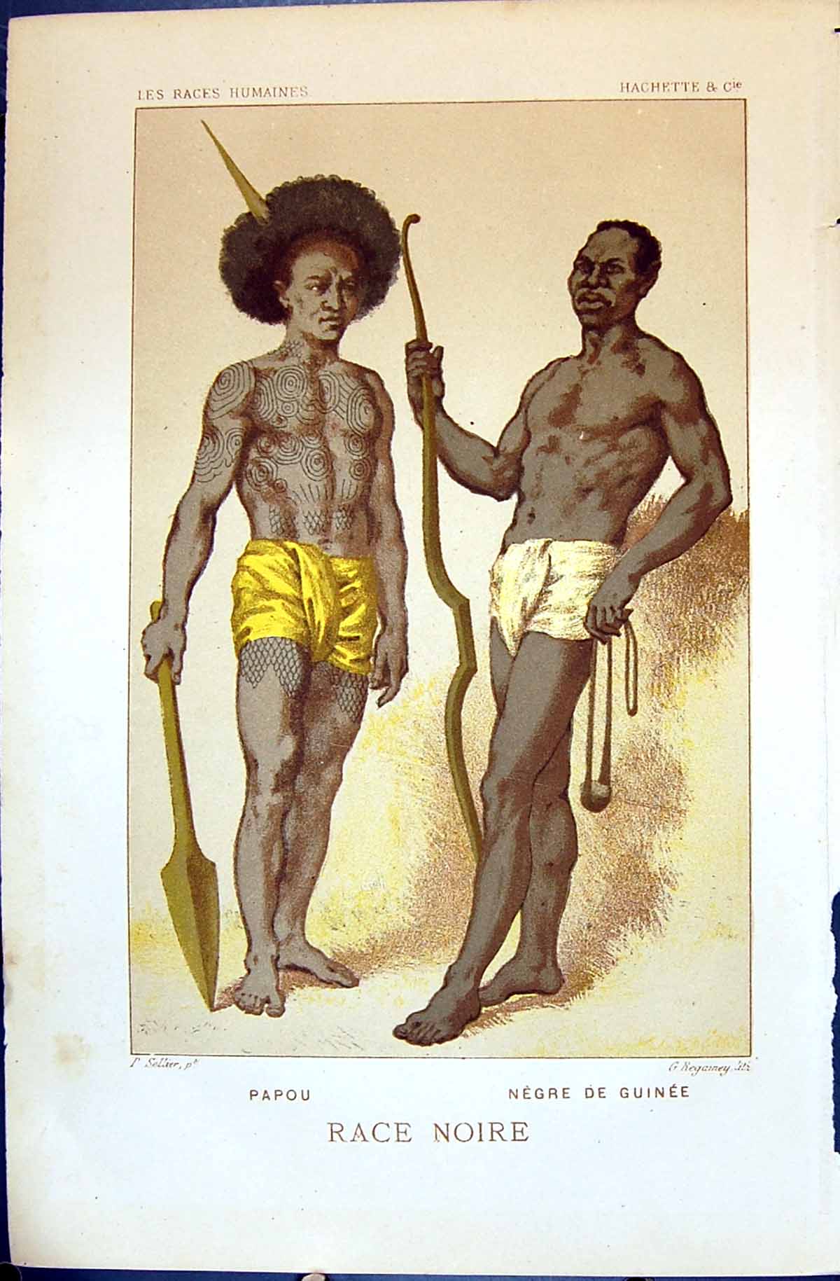 Antique Old Print Papou Negre Guinee Noire 1880 Races Humaines Figuier Colour