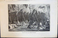 Old 1880 Human Races Humaines Figuier Camp Noirs Indigenes D'Australi Victorian