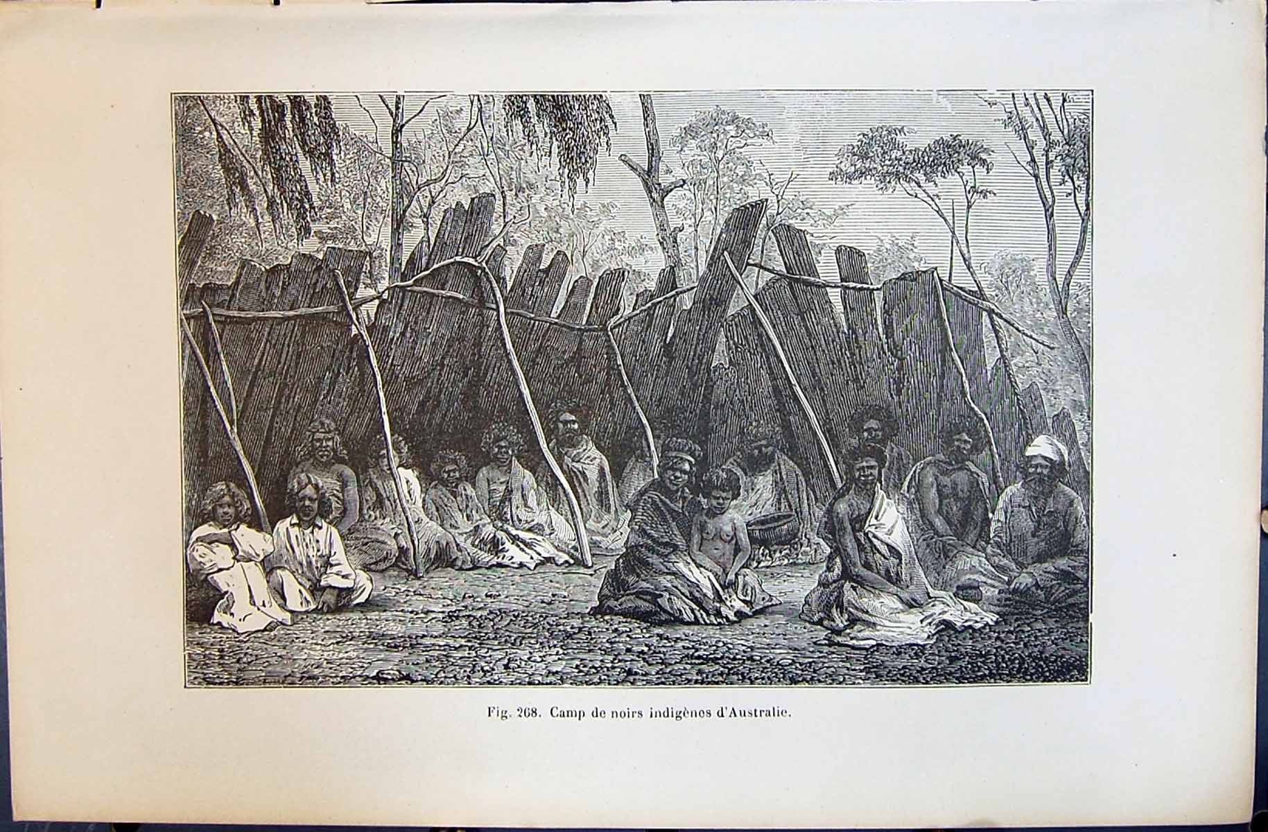 Old 1880 Human Races Humaines Figuier Camp Noirs Indigenes D'Australi Victorian