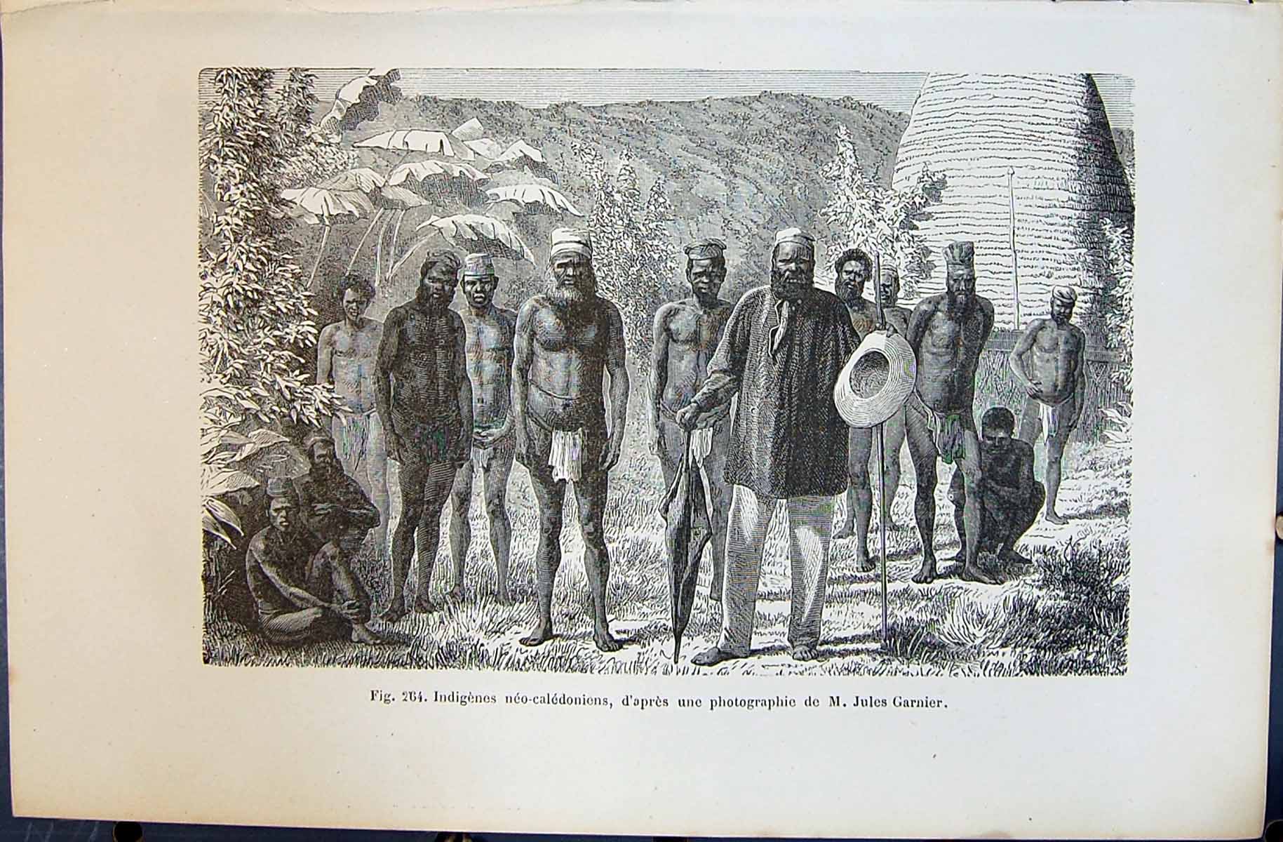 Old 1880 Human Races Humaines Figuier Indigenes Neo-Caledoniens D'Apr Victorian