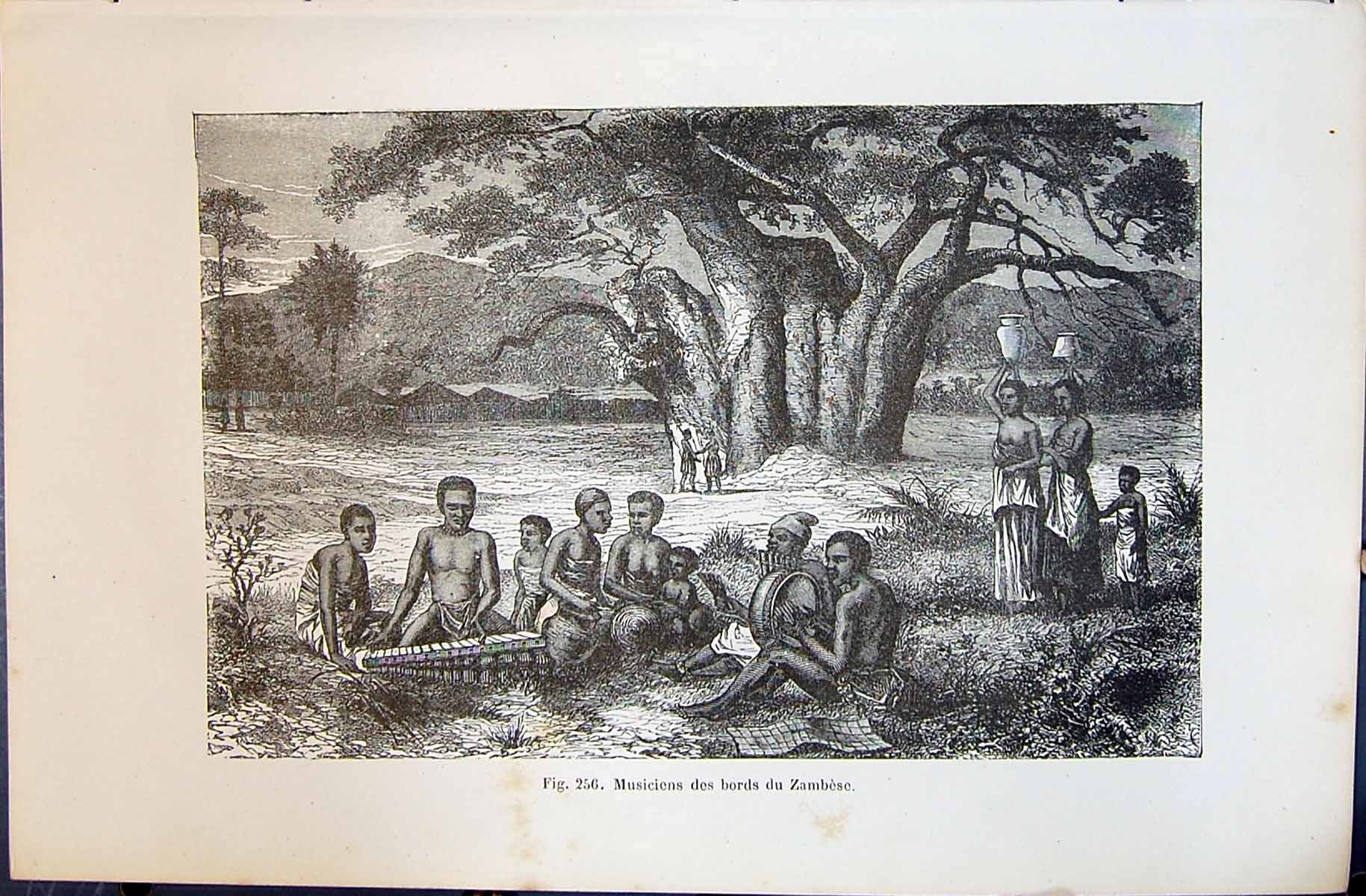 Old 1880 Human Races Humaines Figuier Musiciens Des Bords Zambese Afr Victorian