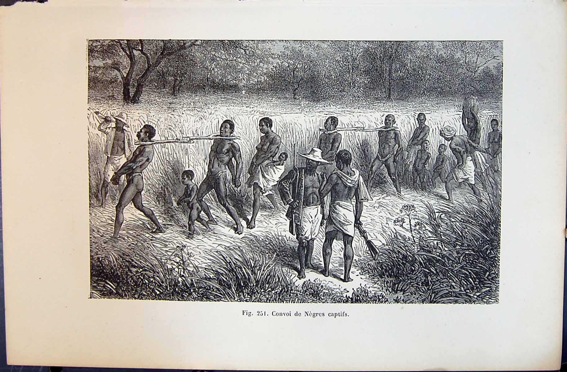 Old Convoi De Negres Captifs Negro Prisoners 1880 Human Races Humaine Victorian