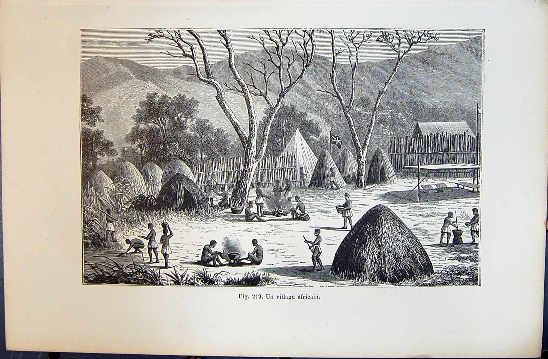 Old Print 1880 Human Races Humaines Figuier Village Scene Africa Africain 19th