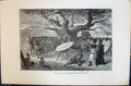 Old 1880 Human Races Humaines Figuier Exercices Guerriers Cafres Zoul Victorian