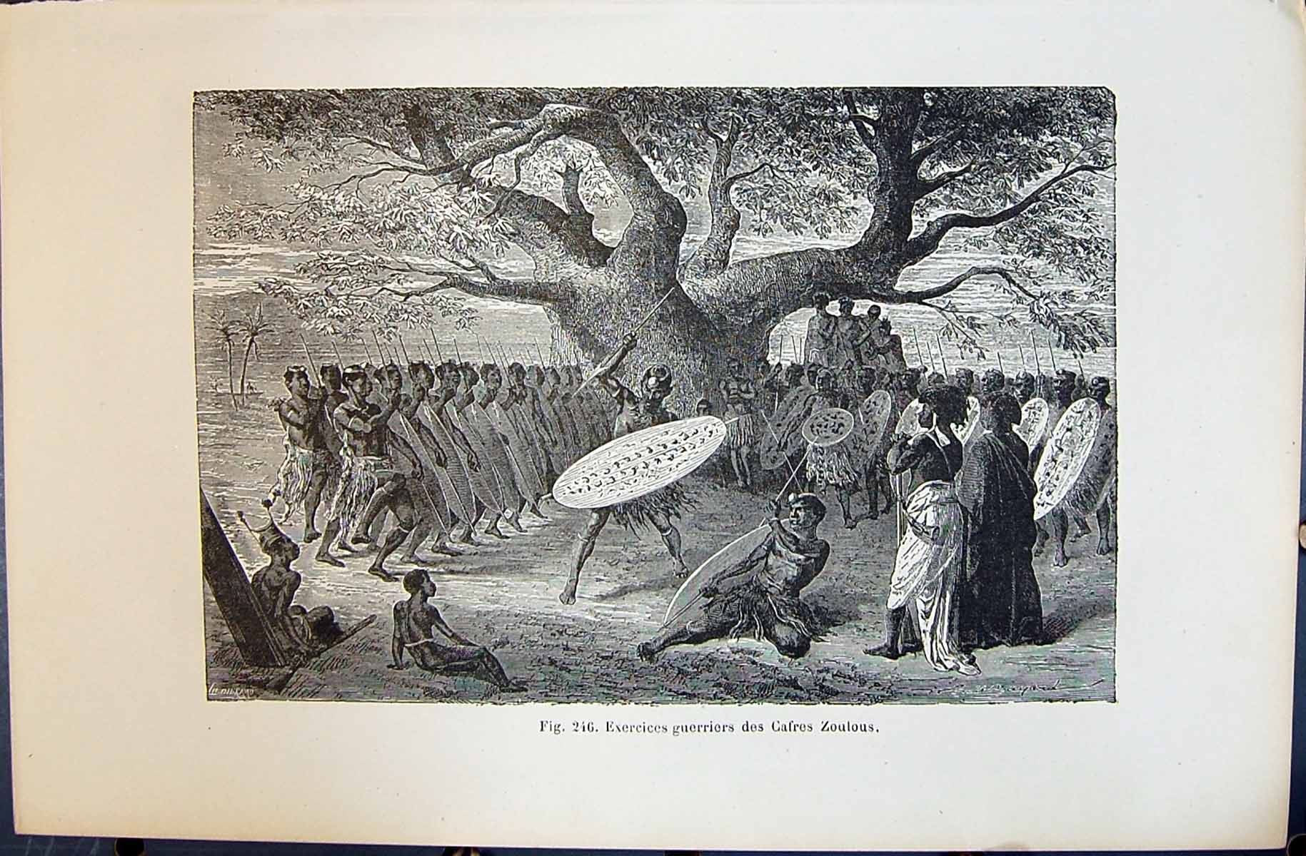 Old 1880 Human Races Humaines Figuier Exercices Guerriers Cafres Zoul Victorian