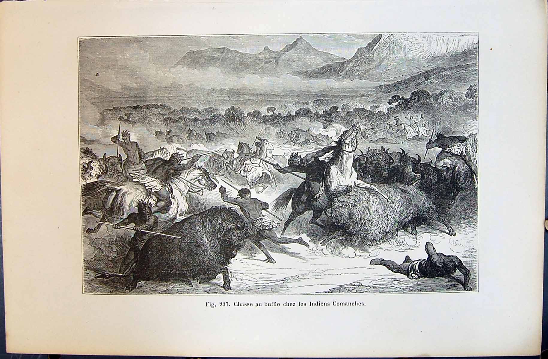 Old Chasse Buffle Indiens Comanches 1880 Human Races Humaines Figuier Victorian