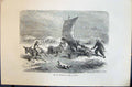 Old 1880 Human Races Humaines Figuier Brouette Voile En Chine Travell Victorian