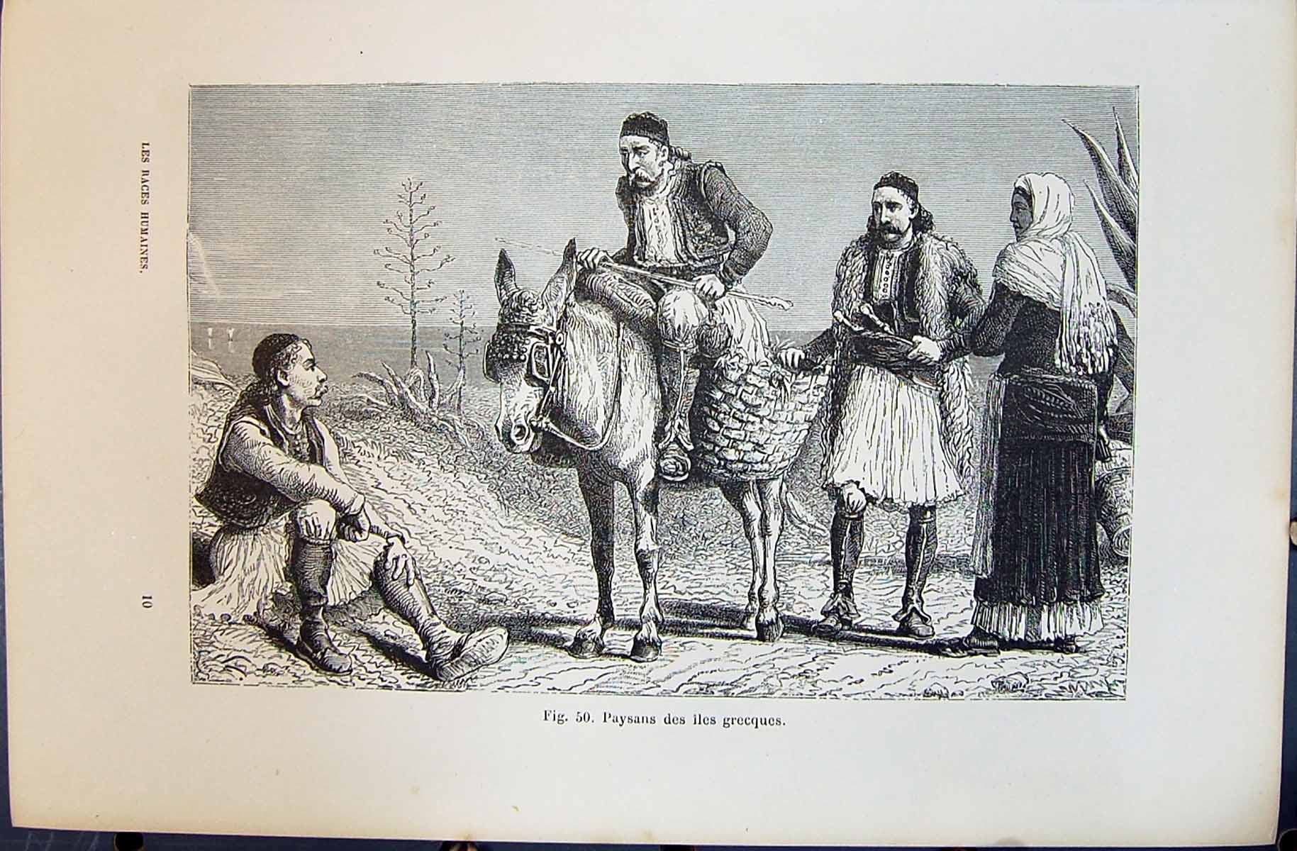 Old Paysans Des Iles Grecques Travellers Donkey 1880 Human Races Huma Victorian