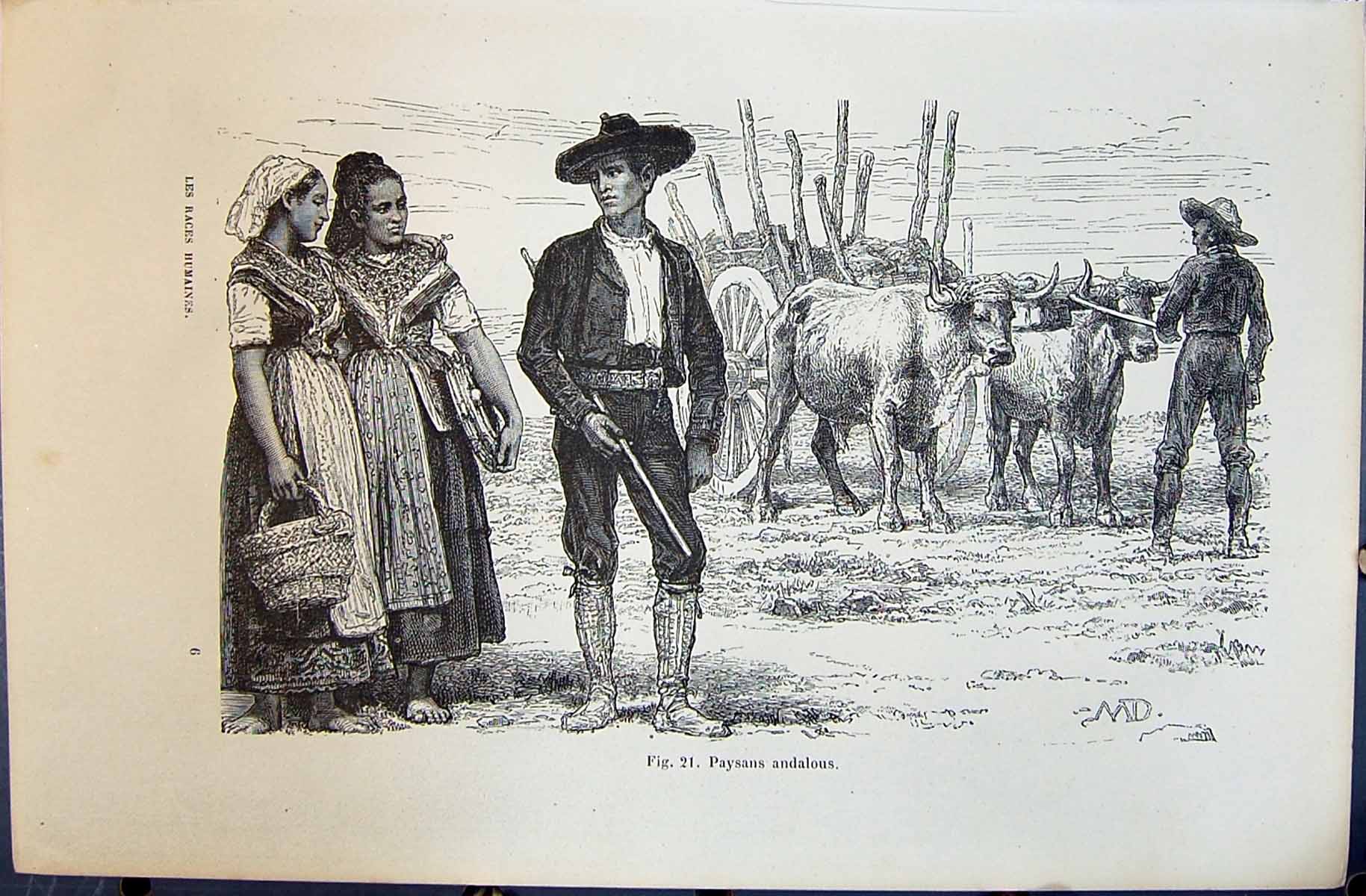 Old 1880 Human Races Humaines Figuier Paysans Andalous Spanish People Victorian