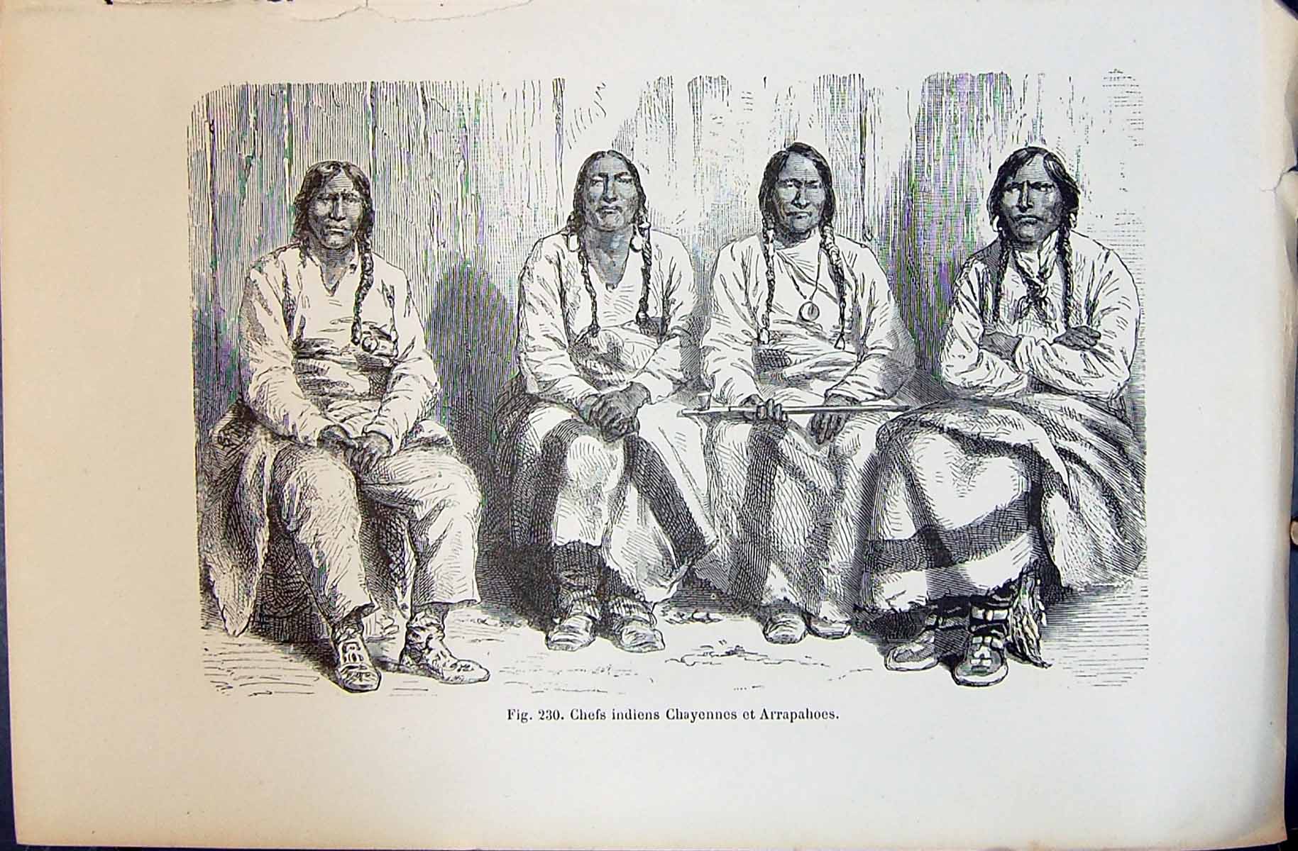 Old 1880 Human Races Humaines Figuier Chefs Indiens Chayennes Arrapah Victorian