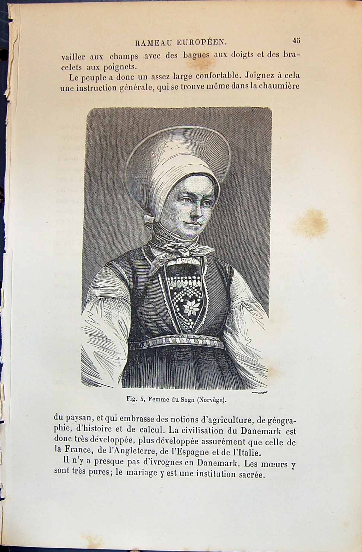Old Femme Sogn Norvege Lady Norway 1880 Human Races Humaines Figuier Victorian