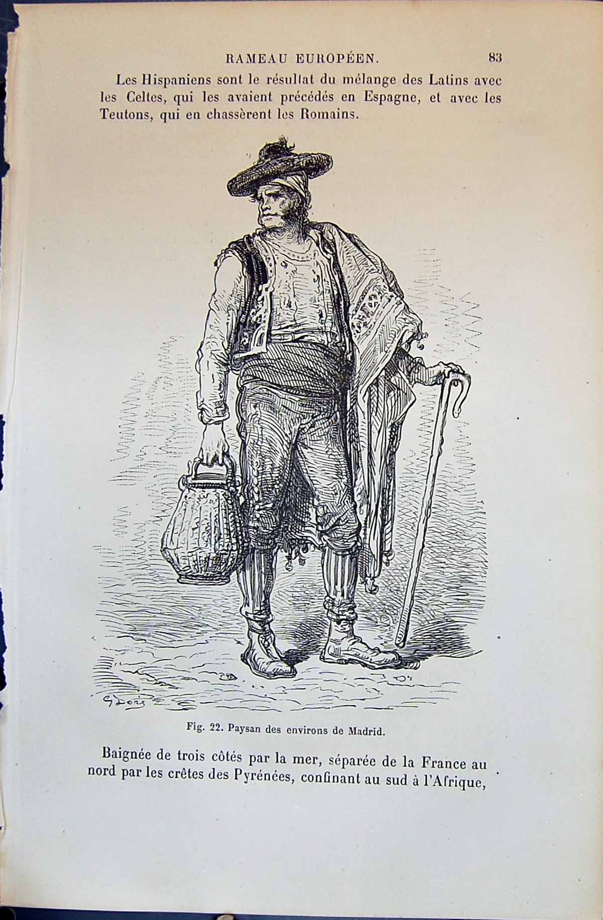 Old Paysan Des Environs Madrid Spanish Man 1880 Human Races Humaines Victorian
