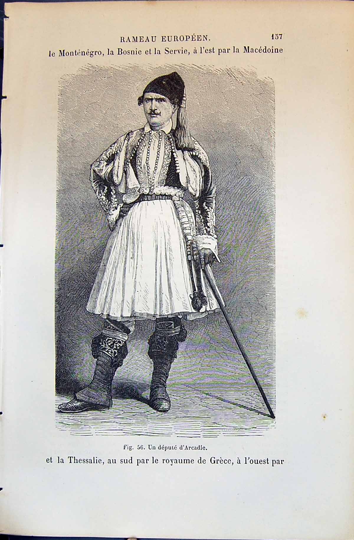 Old 1880 Human Races Humaines Figuier Un Depute D'Arcadie Man Costume Victorian