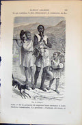 Antique Old Print Kabyles Music Instruments 1880 Human Races Humaines Figuier