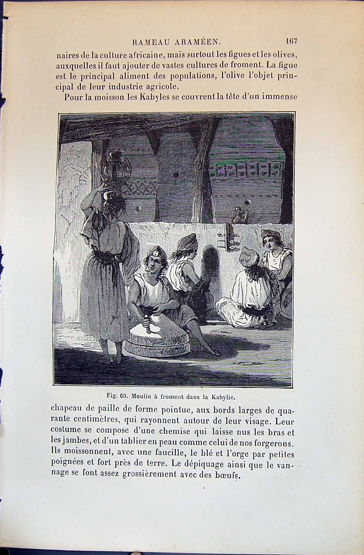 Antique Print Moulin Froment Dans Kabylie 1880 Human Races Humaines Figuier