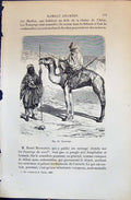 Old Antique Print Touaregs Camel People 1880 Human Races Humaines Figuier 19th