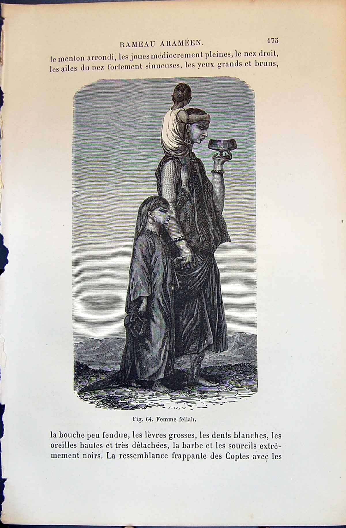 Old Print Femme Fellah Mother Children 1880 Human Races Humaines Figuier 19th