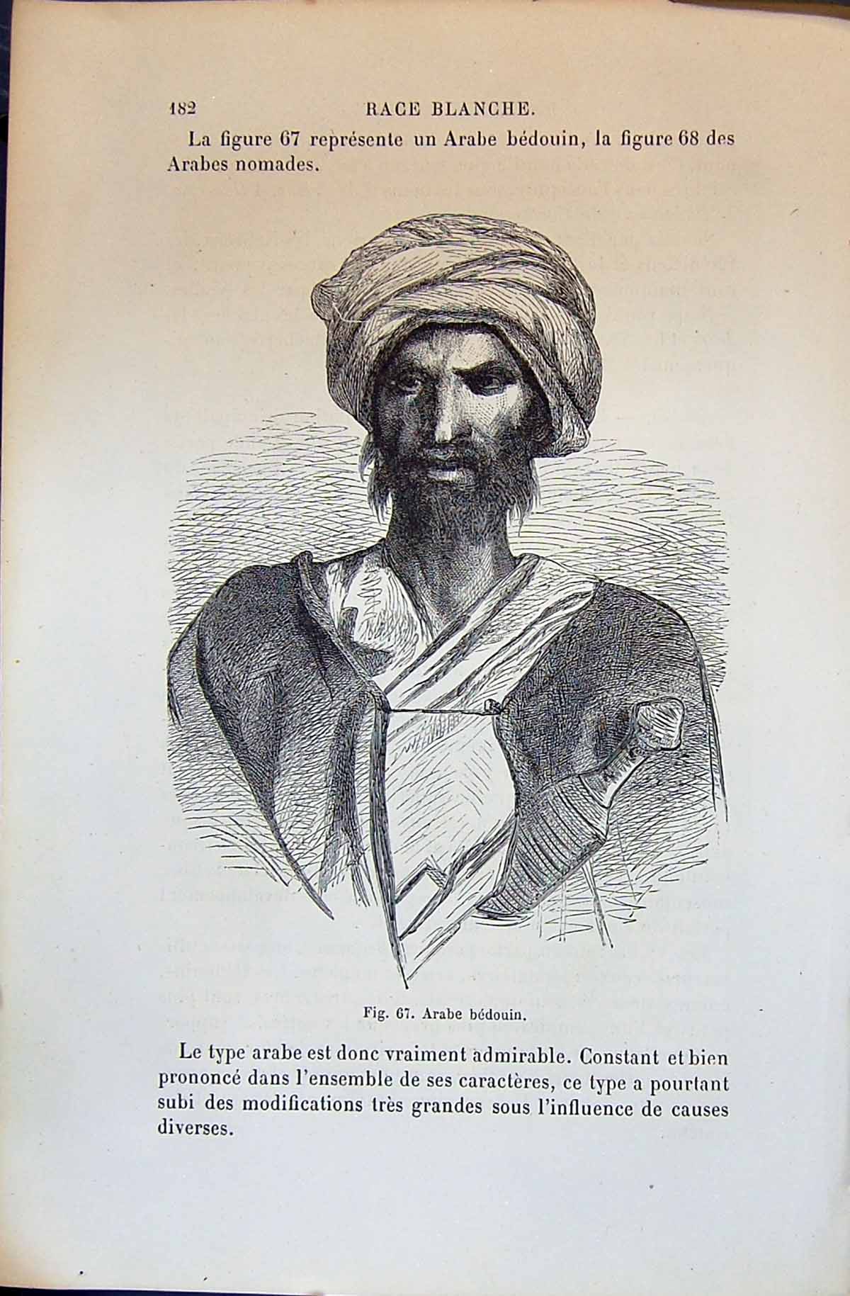 Old Print 1880 Human Races Humaines Figuier Arabe Bedouin Travelling Man 19th