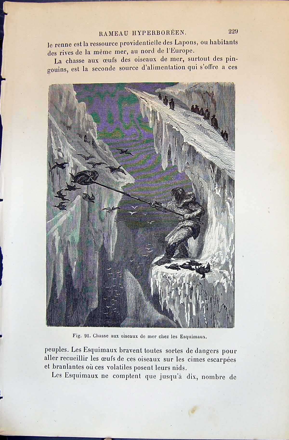 Old Chasse Aux Oiseaux Mer Chez Esquimaux 1880 Human Races Humaines F Victorian