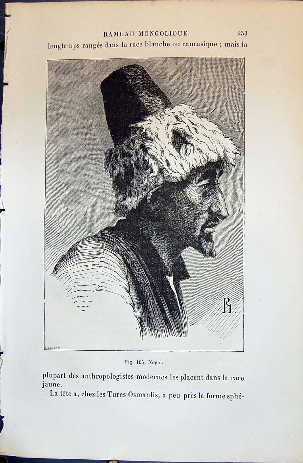 Original Old Antique Print Portrait Nogai Man 1880 Human Races Humaines Figuier