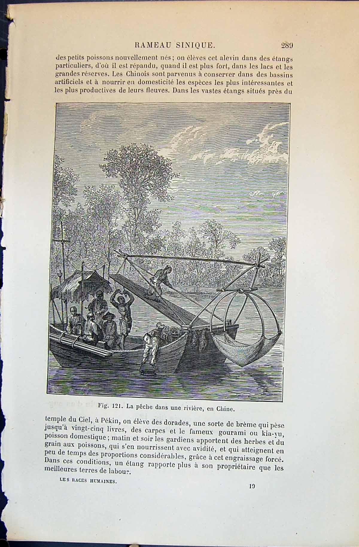Old La Peche Dans Une Riviere China Boat Chine 1880 Human Races Humai Victorian