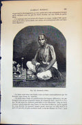 Old Brahmane Indien Indian Man Hindou 1880 Human Races Humaines Figui Victorian