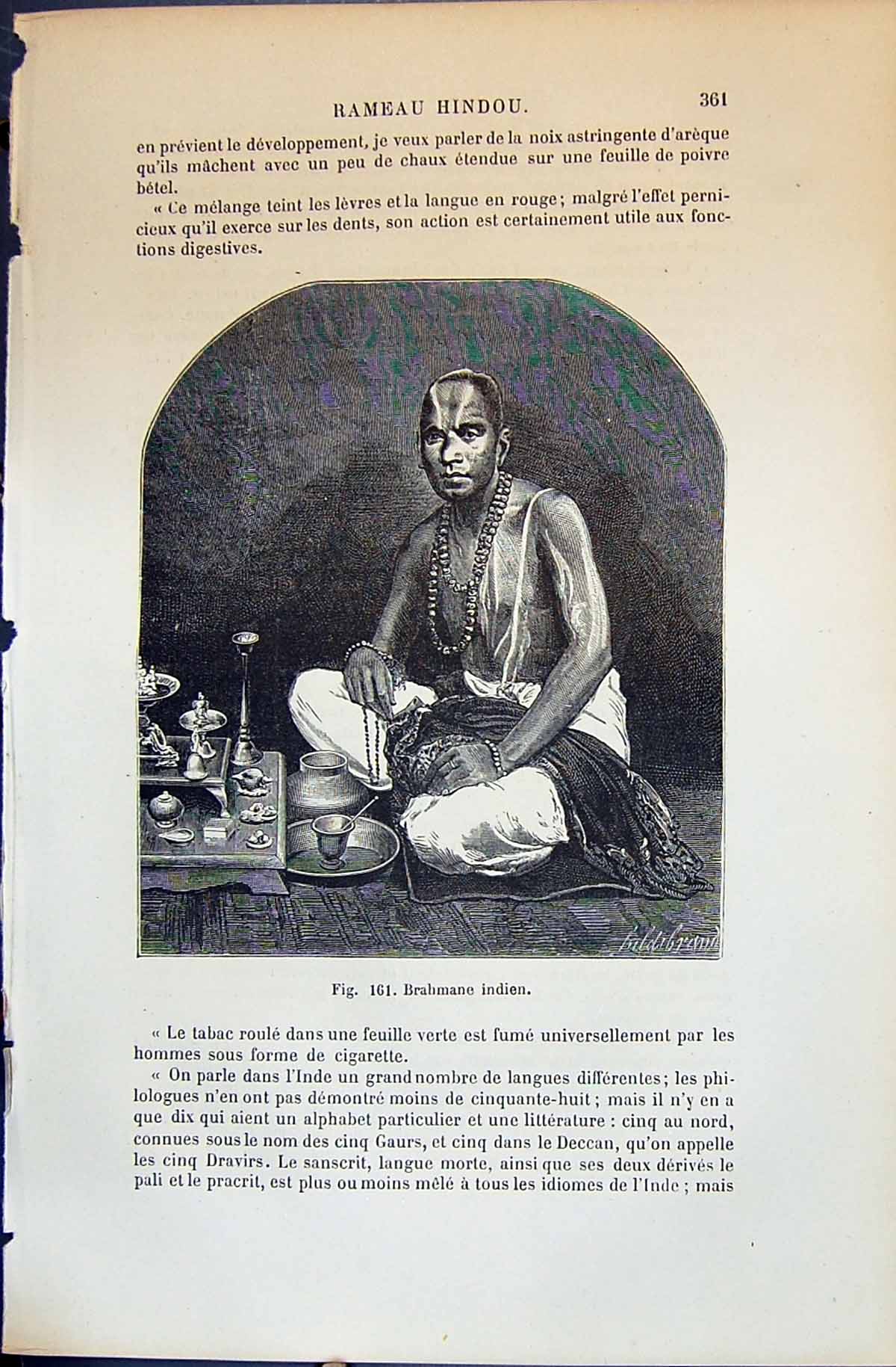Old Brahmane Indien Indian Man Hindou 1880 Human Races Humaines Figui Victorian