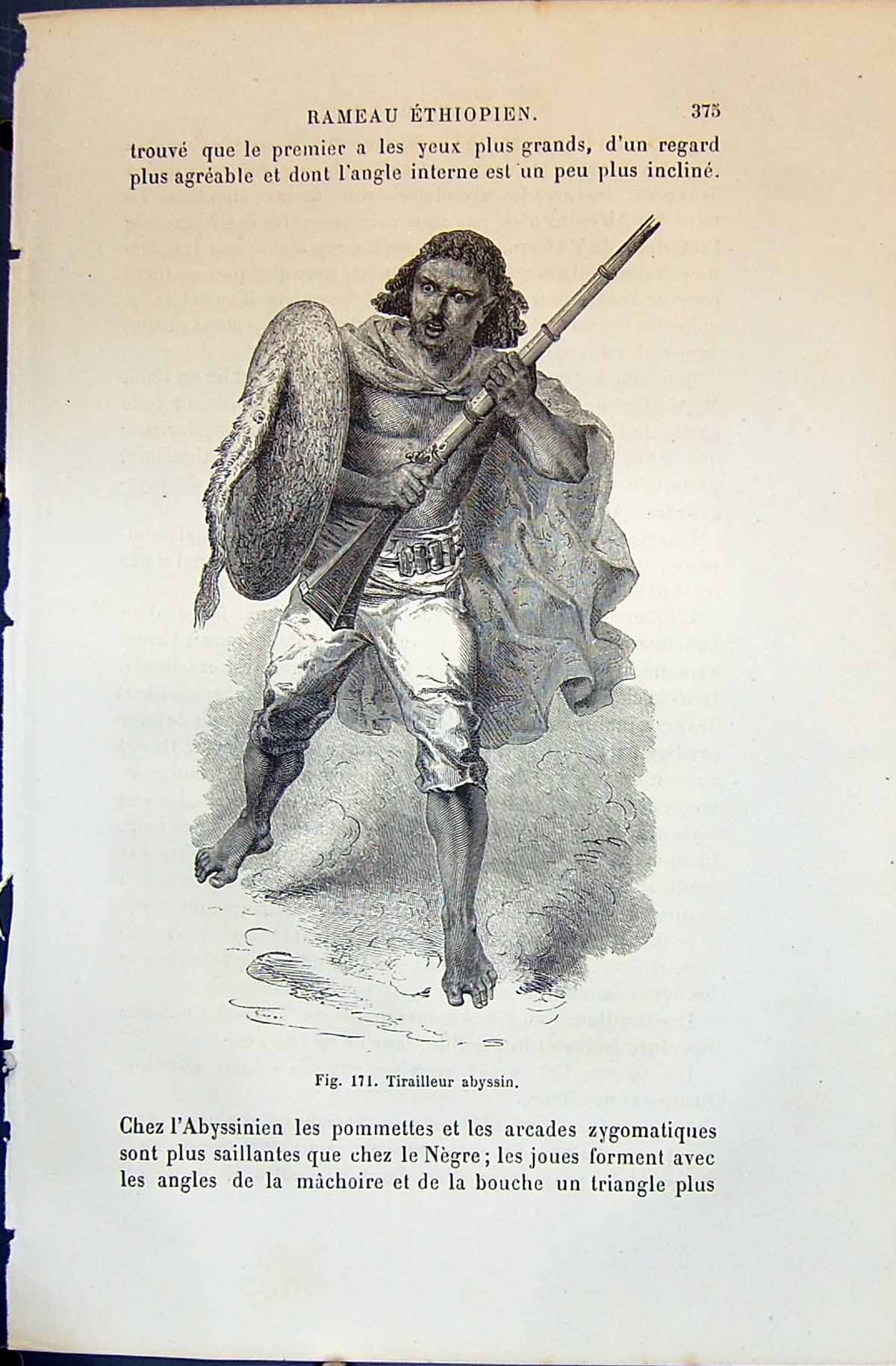 Old Tirailleur Abyssin Warrior Man 1880 Human Races Humaines Figuier Victorian