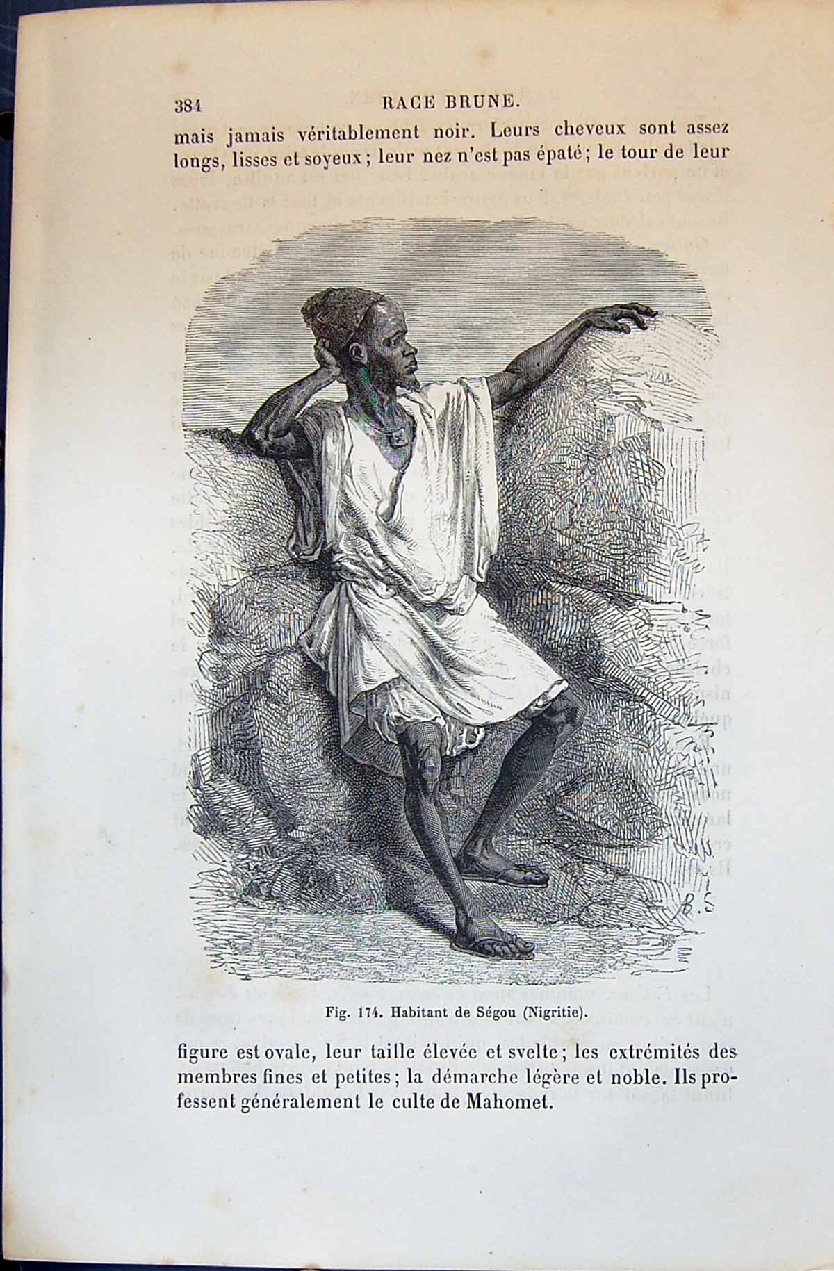 Old Habitant De Segou Nigritie Native Man 1880 Human Races Humaines F Victorian