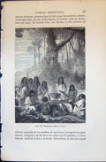 Old Repas Des Indiens Antis Native People Spears 1880 Human Races Hum Victorian