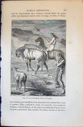 Old Enterrement Chez Patagons Men Horses 1880 Human Races Humaines Fi Victorian