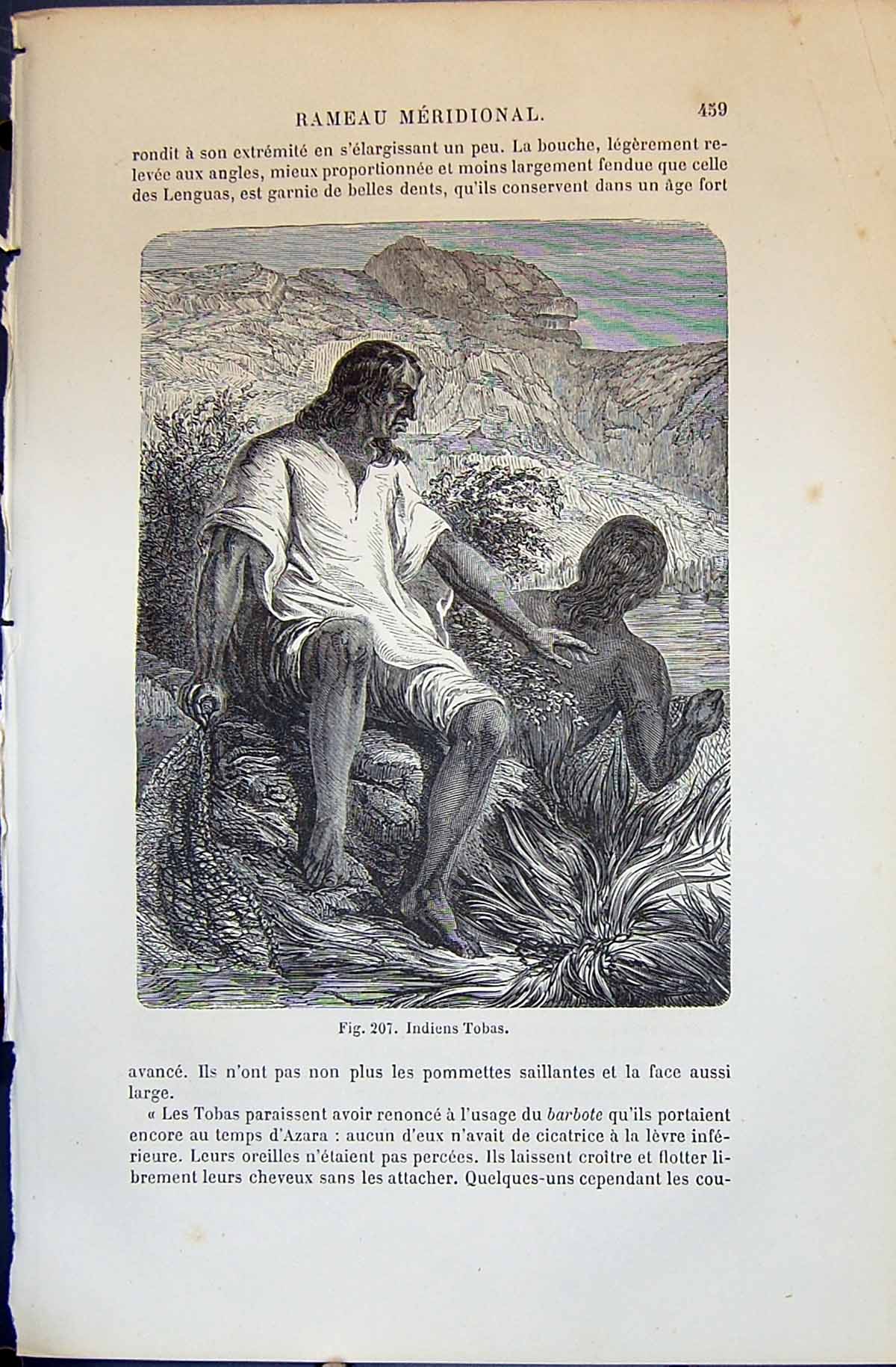 Antique Old Print Indiens Tobas Man Lady 1880 Human Races Humaines Figuier 19th