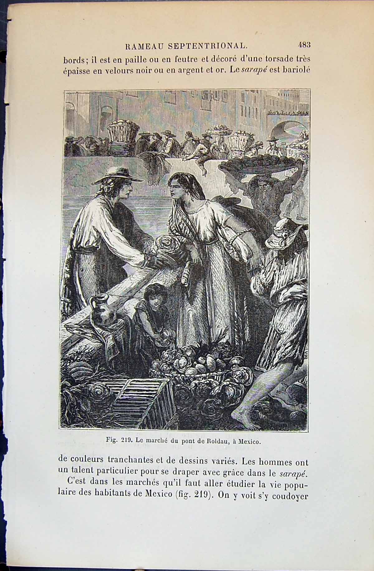 Old Print Le Marche Du Pont Rau Mexico 1880 Human Races Humaines Figuier 19th
